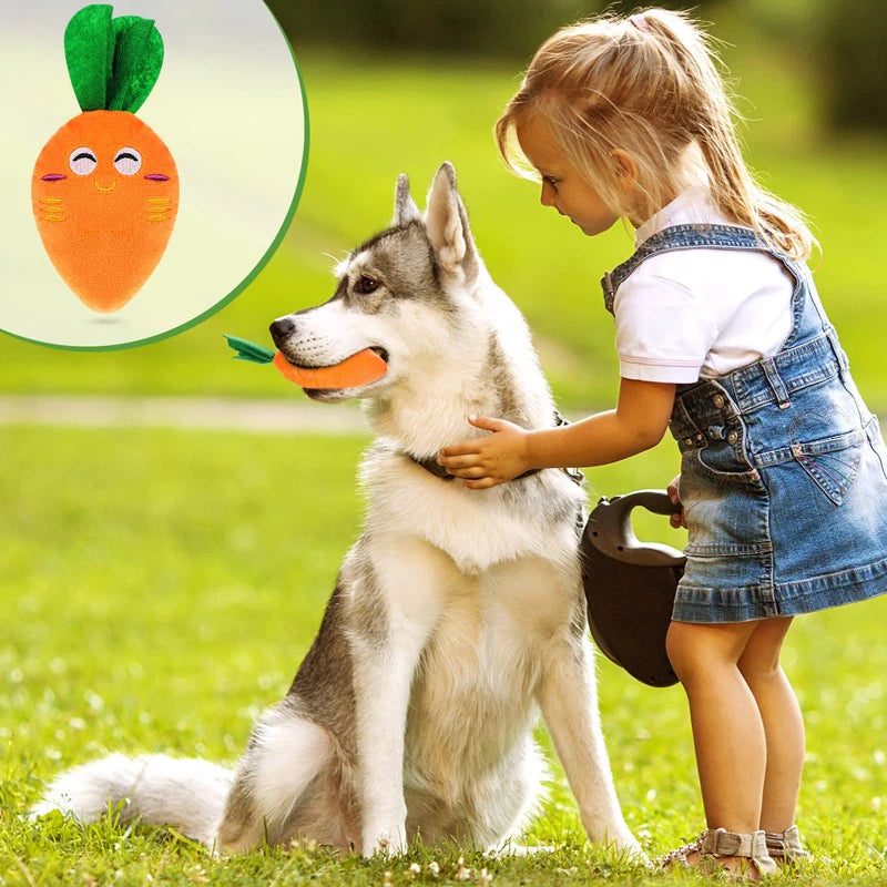 Squeaky Carrot Plush Dog Toy for Small & Medium Dogs