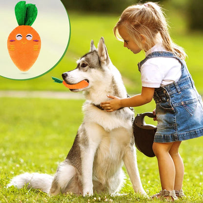 Squeaky Carrot Plush Dog Toy for Small & Medium Dogs