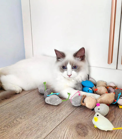 Catnip Mouse Cat Toys – Faux Fur Rattle Mice for Indoor Cats