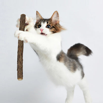 Cat Catnip Matatabi Chew Sticks – Natural Molar Dental Treat