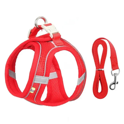 Breathable Mesh Dog Harness Vest – Adjustable No-Pull for Small Pets