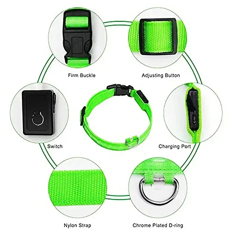 LED Dog Collar – USB Rechargeable Flashing Safety Light
