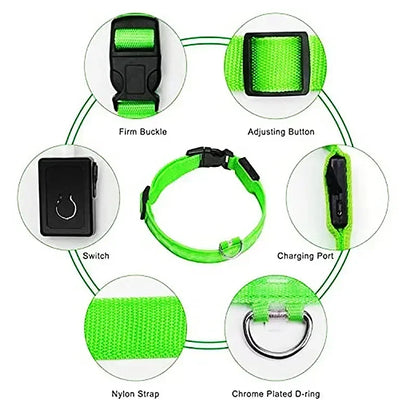 LED Dog Collar – USB Rechargeable Flashing Safety Light