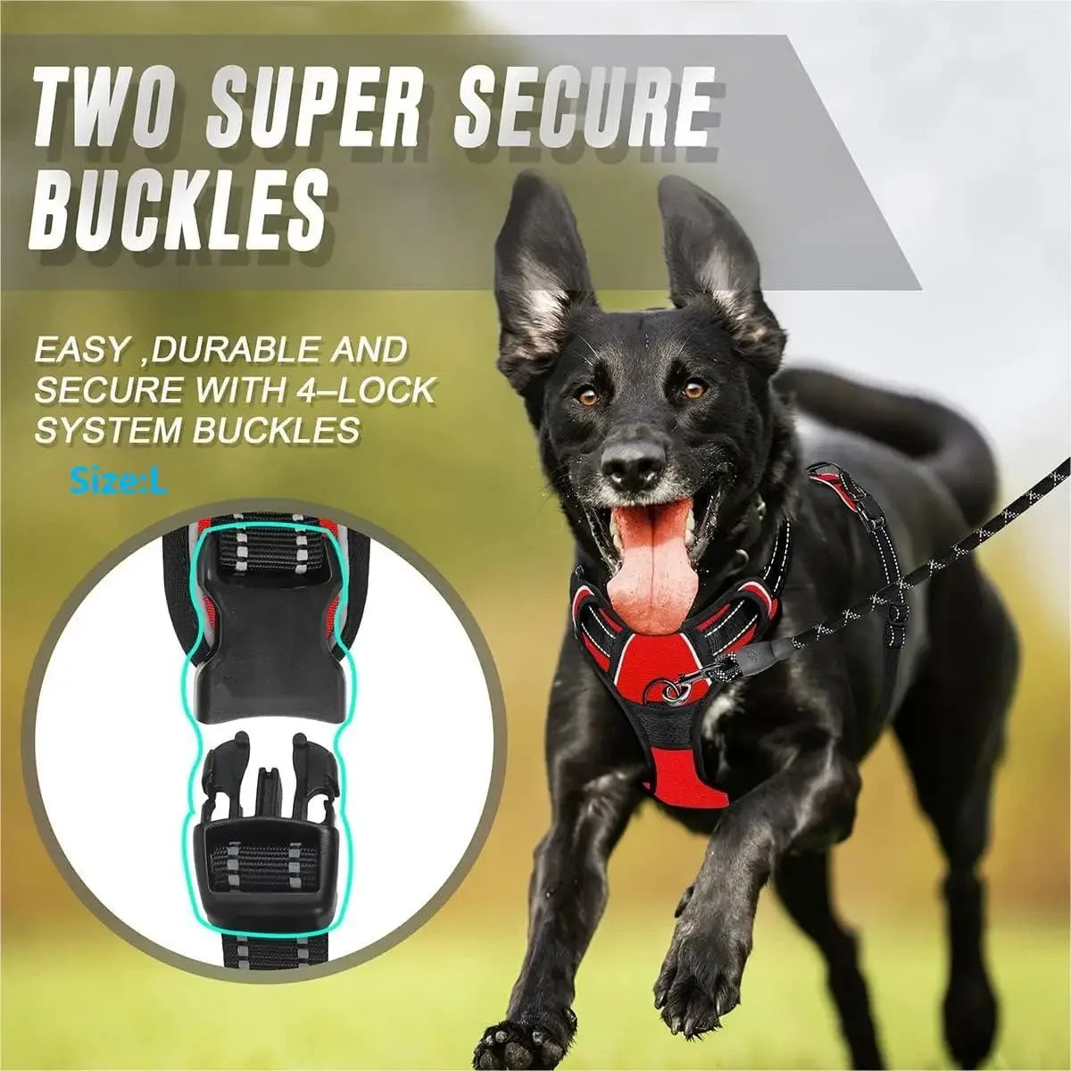 Dog Harness Vest with Leash – Adjustable Puppy Collar Accessory
