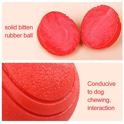 Rubber Dog Ball Toy – Bite-Resistant Solid Ball for Puppies & Large Dogs (S–XL)