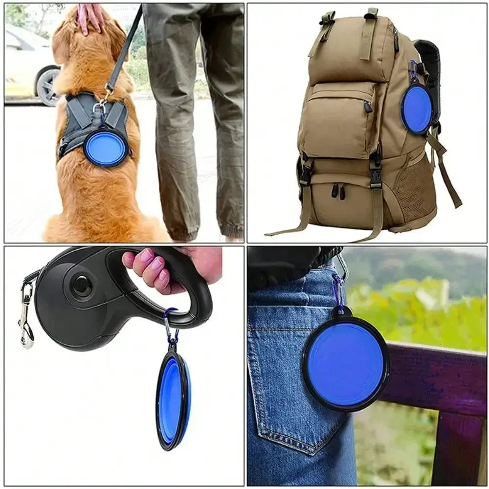 Collapsible Silicone Pet Travel Bowl with Carabiner – Dog & Cat