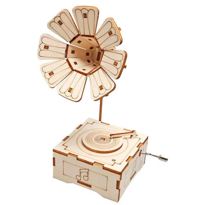 DIY STEM Science Kit for Kids – Build & Learn Wooden Models (33 Styles)