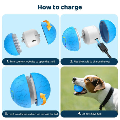 Smart Interactive Dog & Cat Toy Ball with RGB Lights