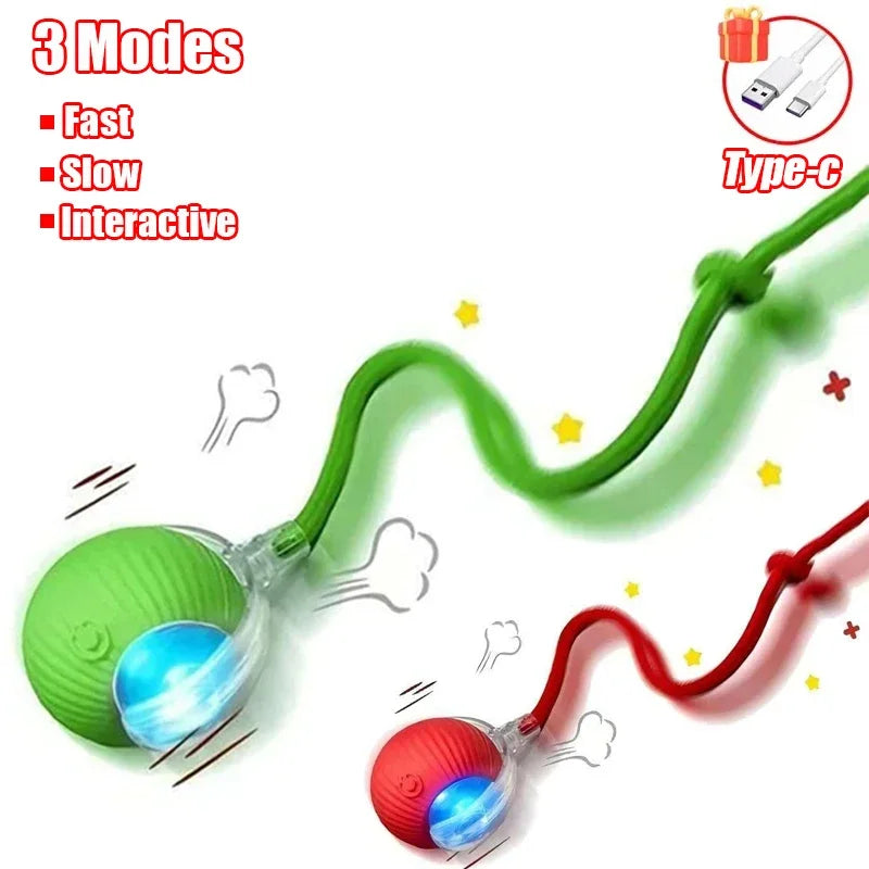 Interactive Rolling Ball Cat Toy with Tail – Rechargeable Smart Pet Toy