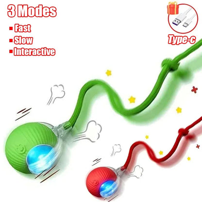 Interactive Rolling Ball Cat Toy with Tail – Rechargeable Smart Pet Toy