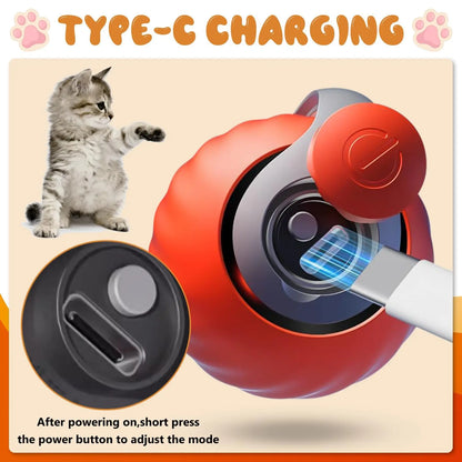 Interactive Cat Ball Toy with Spinning Tail – Self-Moving