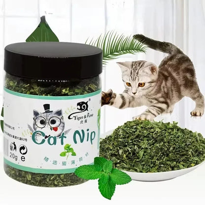 Organic Catnip – 100% Natural Cat Mint Toy & Treat