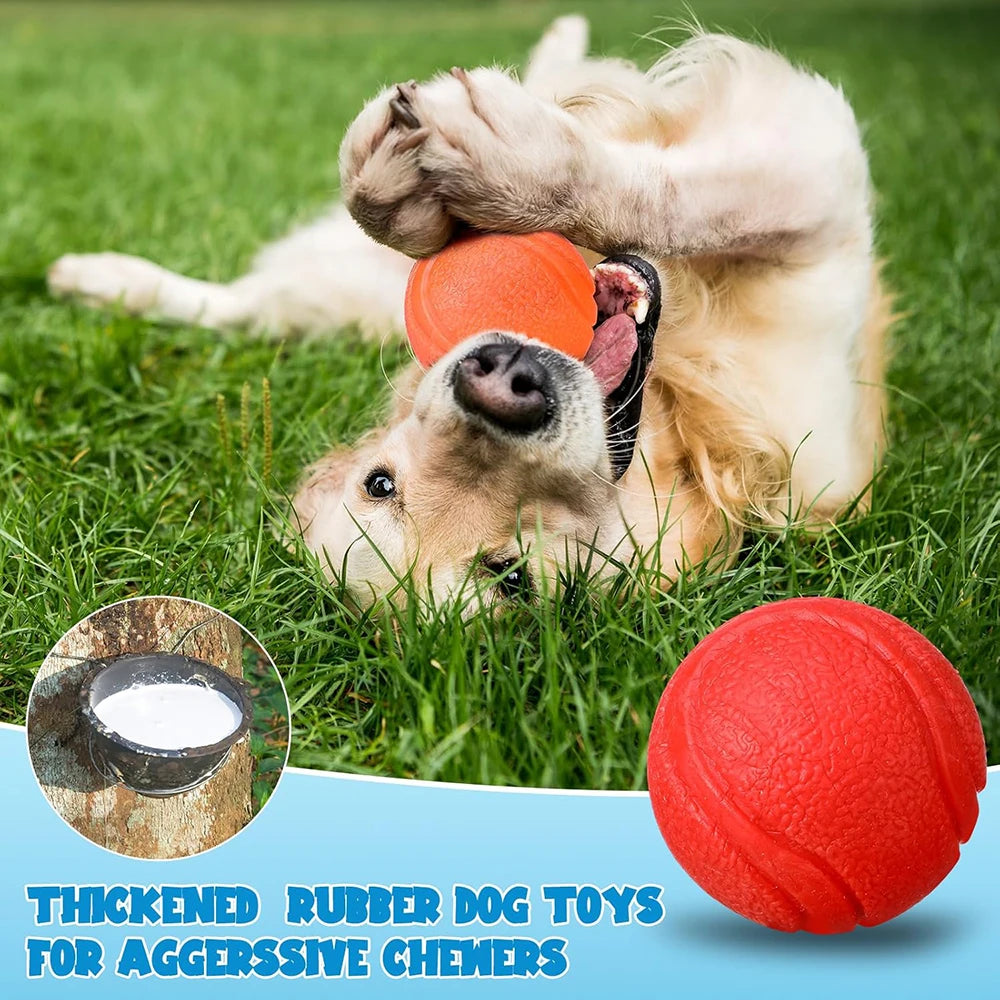 Rubber Dog Ball Bite-Resistant Fetch & Training Toy