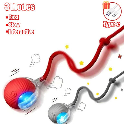Interactive Rolling Ball Cat Toy with Tail – Rechargeable Smart Pet Toy
