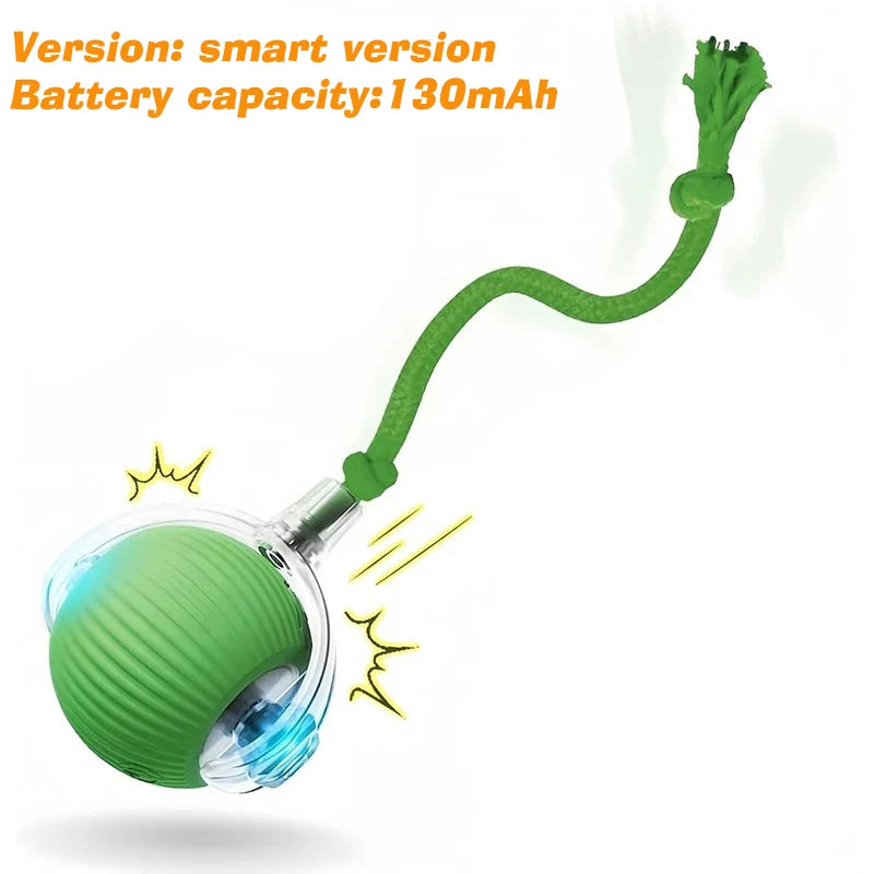 Interactive Rolling Ball Toy for Dogs & Cats – Rechargeable with Sound