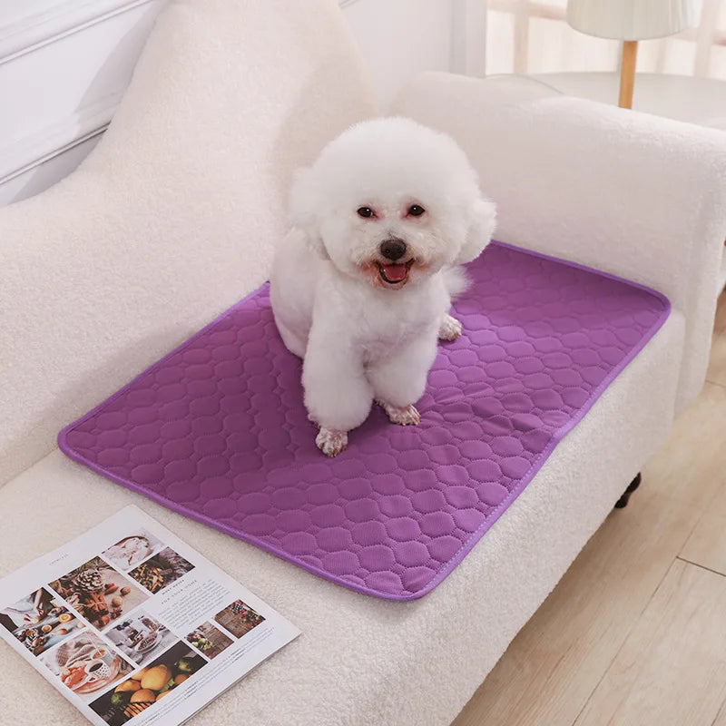Reusable Dog Pee Pad – Washable Absorbent Training Mat
