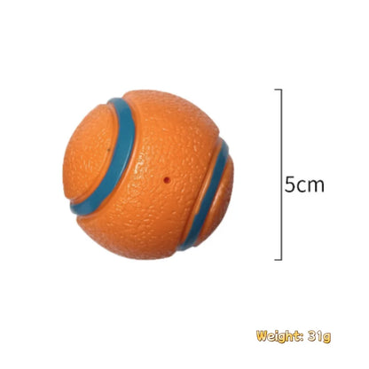 Tough Chew-Proof Dog Fetch Ball for All Breed Sizes