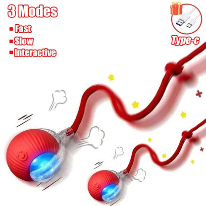 Interactive Rolling Ball Cat Toy with Tail – Rechargeable Smart Pet Toy