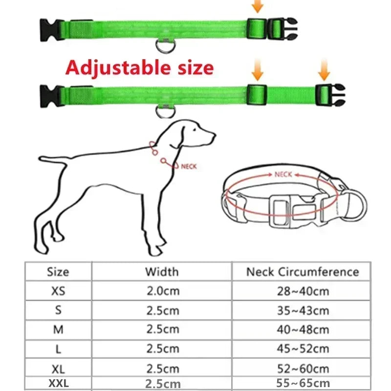 LED Dog Collar – USB Rechargeable Flashing Safety Light