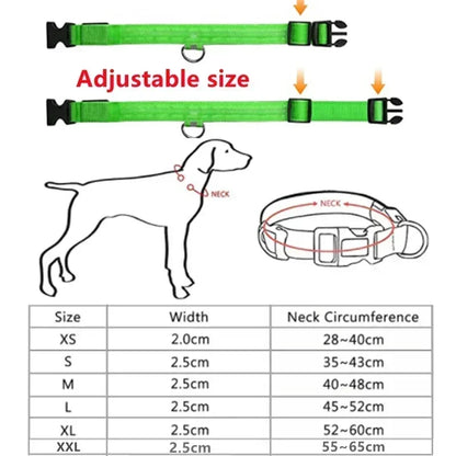 LED Dog Collar – USB Rechargeable Flashing Safety Light