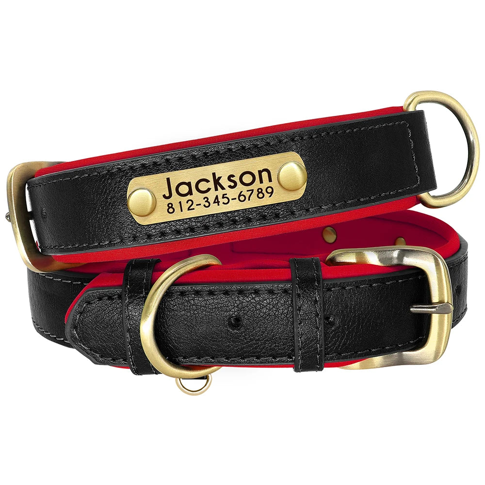 Personalized Leather Dog Collar with Engraved Nameplate
