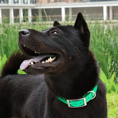 Heavy Duty Waterproof TPU Dog Collar – Adjustable, 8 Colors