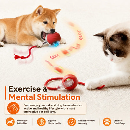 Interactive Rolling Ball Toy for Dogs & Cats – Rechargeable with Sound
