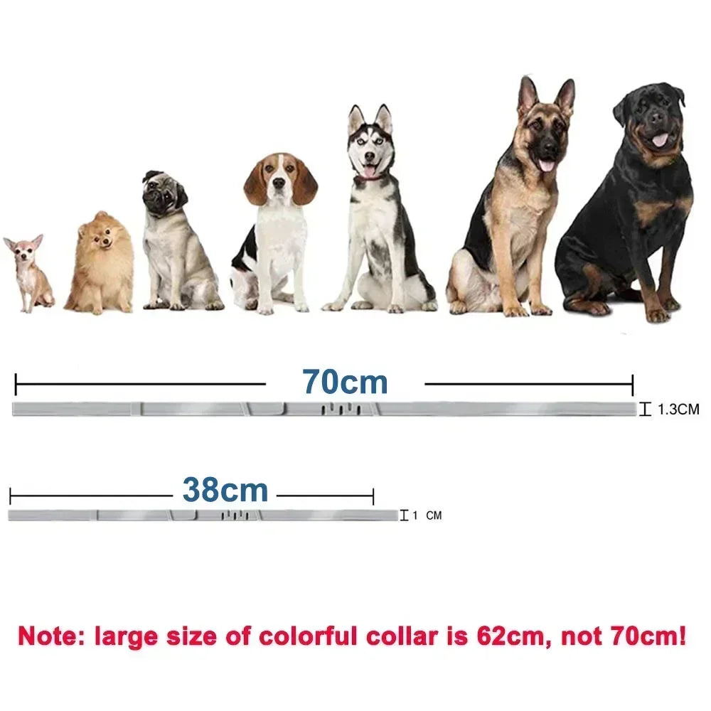 Adjustable Waterproof Pet Collar for Cats & Dogs