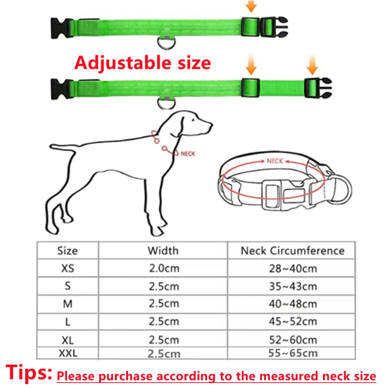 LED Dog Collar USB Rechargeable Glowing Safety Collar