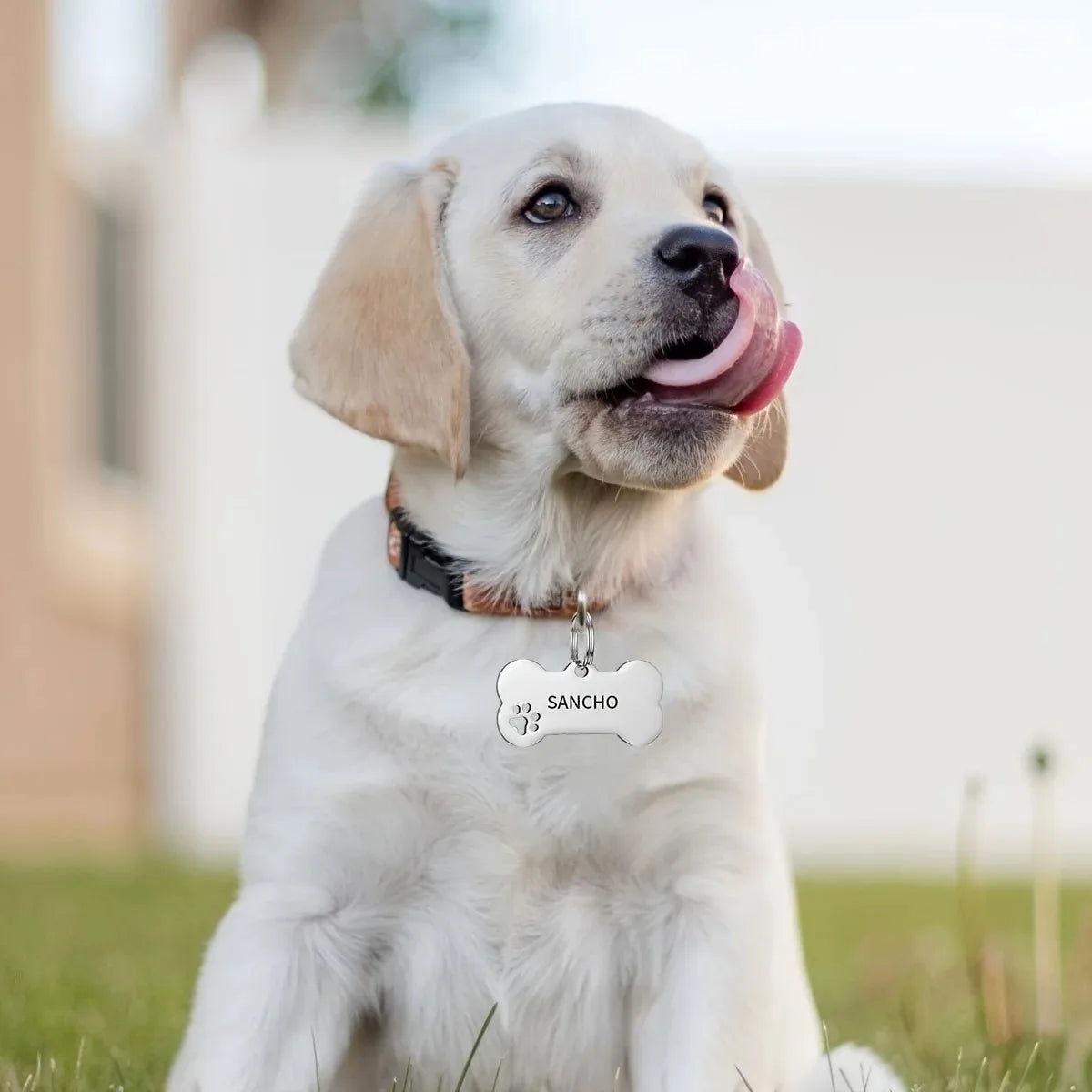 Personalized Engraved Pet ID Tag – Bone Shape for Dogs & Cats