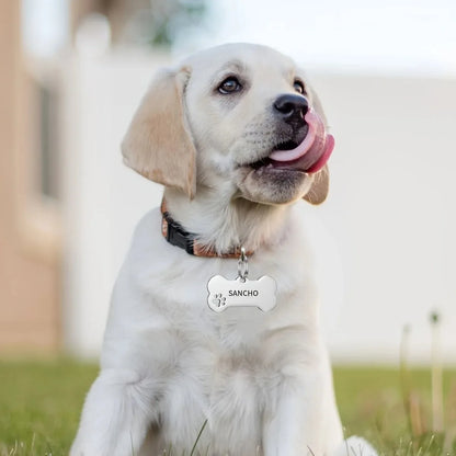 Personalized Engraved Pet ID Tag – Bone Shape for Dogs & Cats