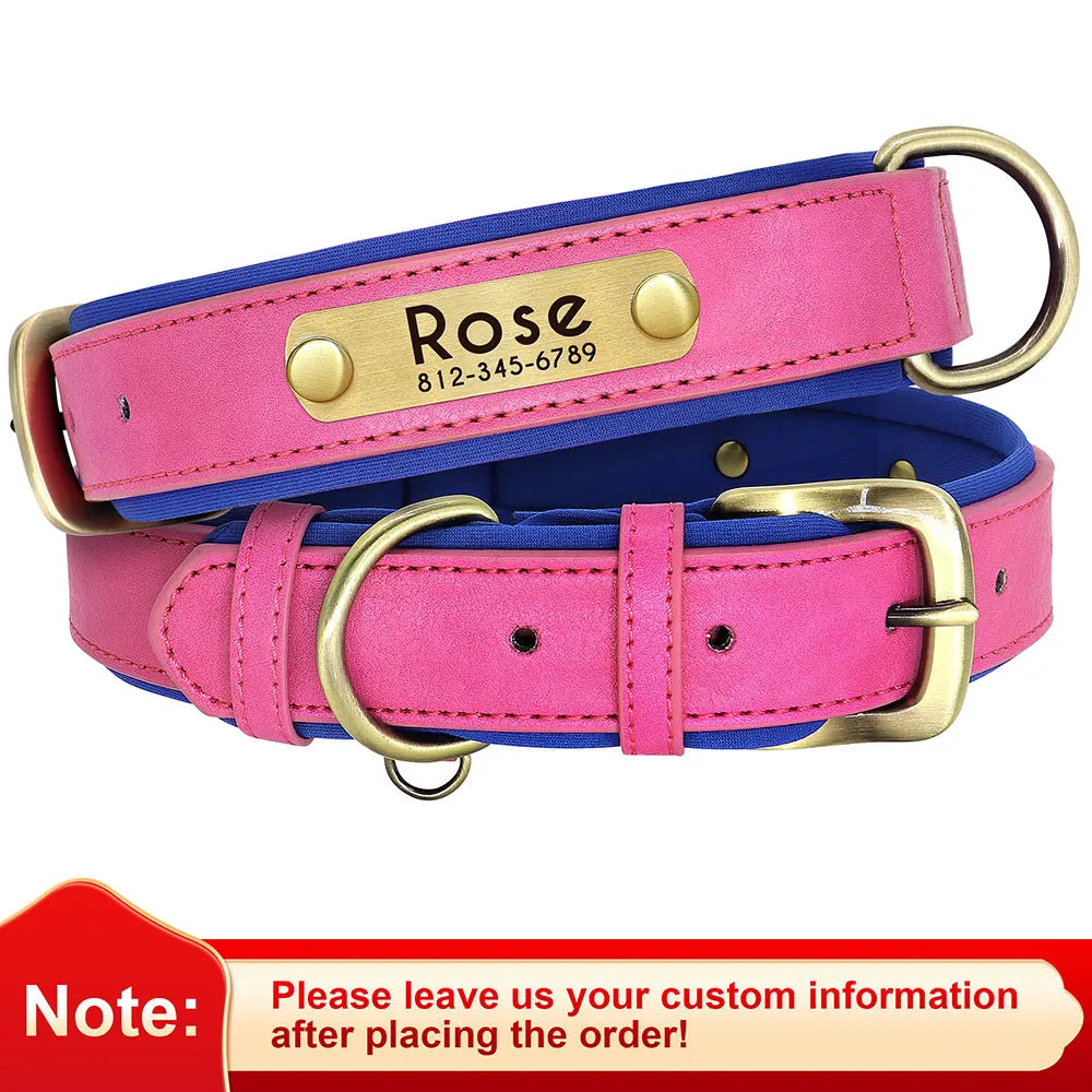 Personalized Leather Dog Collar with Engraved Nameplate