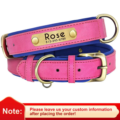 Personalized Leather Dog Collar with Engraved Nameplate