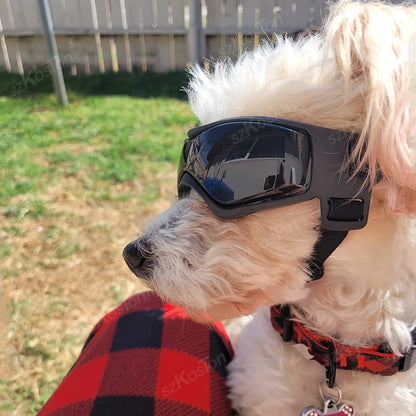 Dog Goggles UV Protection Sunglasses with Adjustable Strap