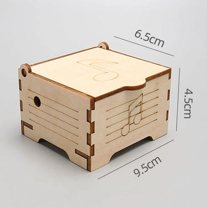 DIY STEM Science Kit for Kids – Build & Learn Wooden Models (33 Styles)