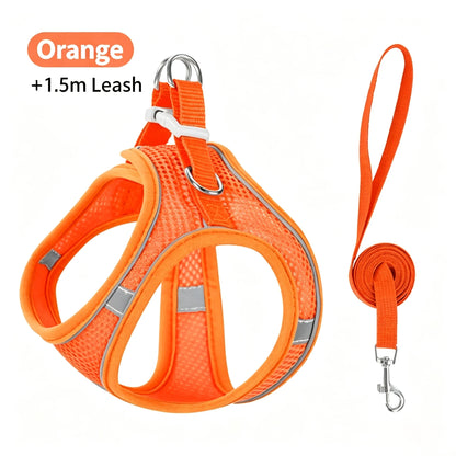 Small Dog Harness & Leash Set – Adjustable Mesh Vest with Reflective Strips
