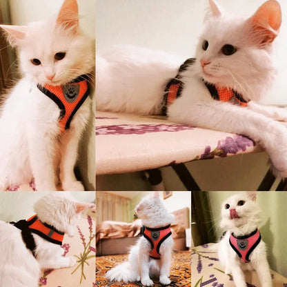Breathable Mesh Cat & Dog Harness with Leash – Adjustable Reflective Vest