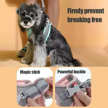 Breathable Mesh Dog Harness Vest – Adjustable No-Pull for Small Pets