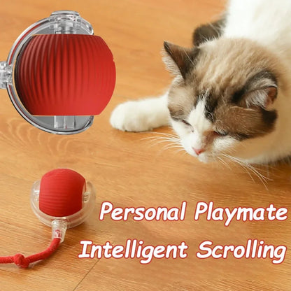 Interactive Pet Ball Toy – Auto-Rolling, Rechargeable, Faux Tail