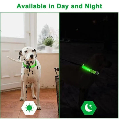 LED Dog Collar – USB Rechargeable Flashing Safety Light