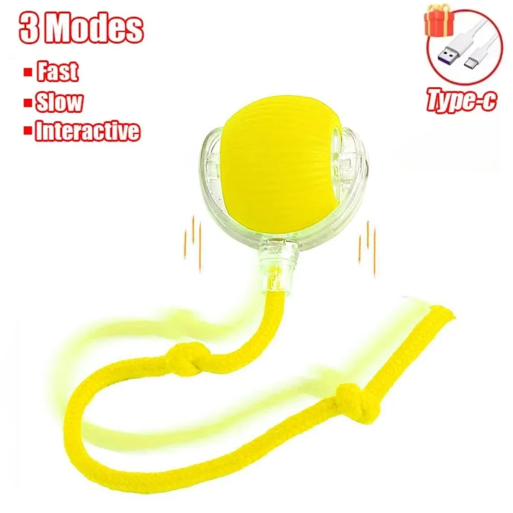 Interactive Pet Ball Toy – Auto-Rolling, Rechargeable, Faux Tail