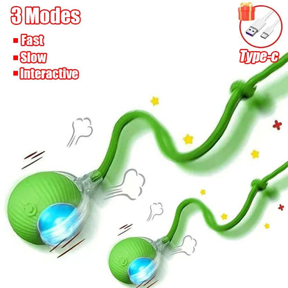 Interactive Rolling Ball Cat Toy with Tail – Rechargeable Smart Pet Toy