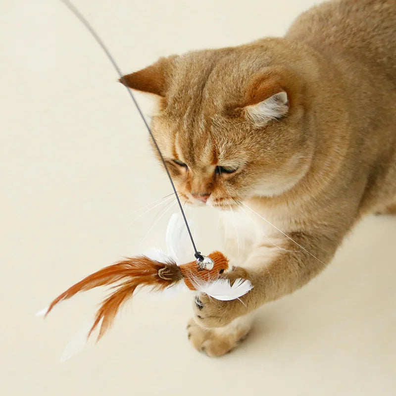 Suction Cup Bird Feather Cat Wand Toy – Interactive Kitten Hunting Toy with Bell