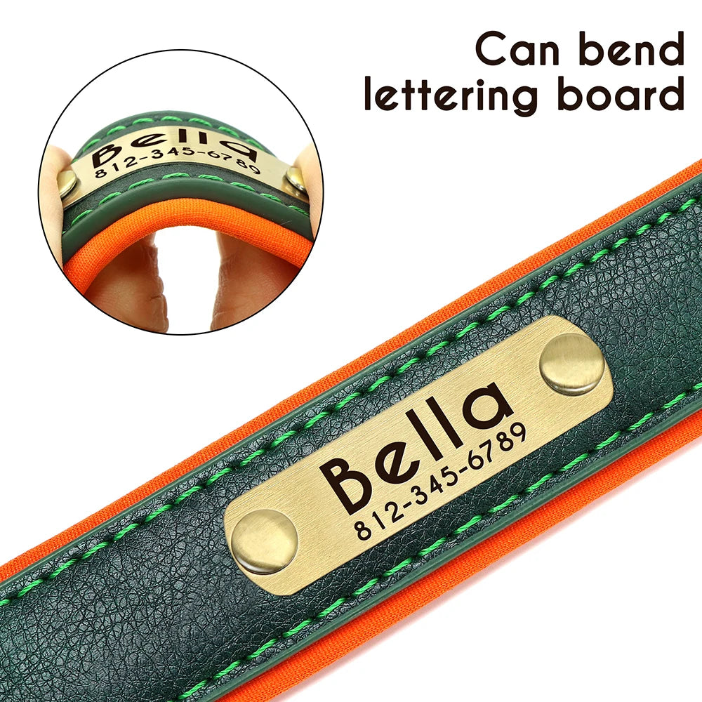 Personalized Leather Dog Collar with Engraved Nameplate