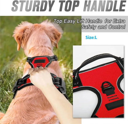 Dog Harness Vest with Leash – Adjustable Puppy Collar Accessory