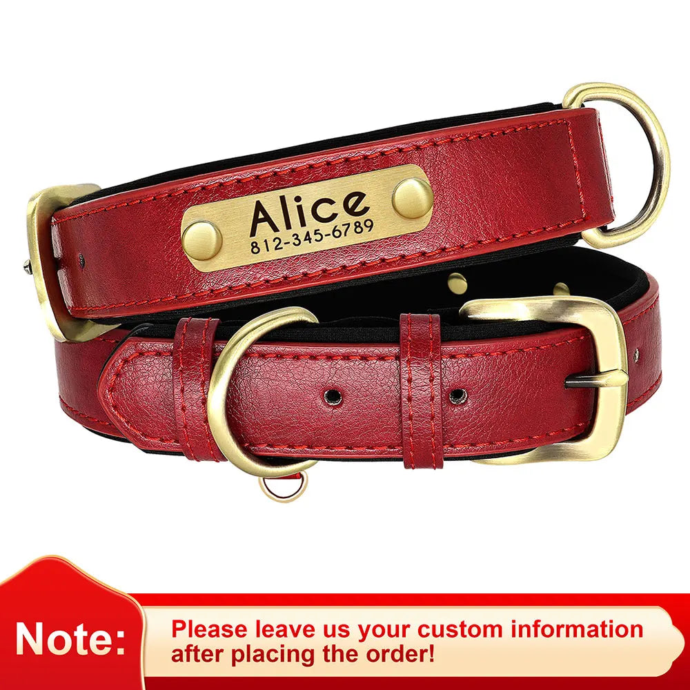 Personalized Leather Dog Collar with Engraved Nameplate