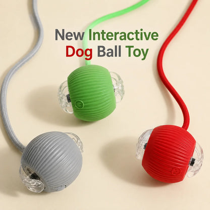 Interactive Rolling Ball Toy for Dogs & Cats – Rechargeable with Sound