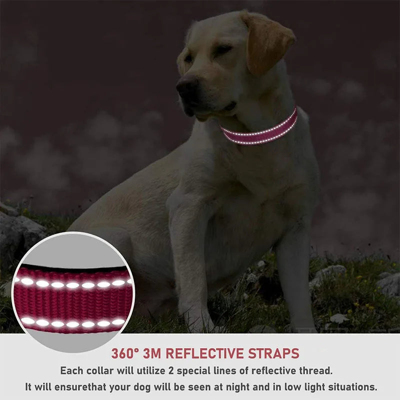 Reflective Dog Collar – Adjustable Nylon Safety Collar for Dogs