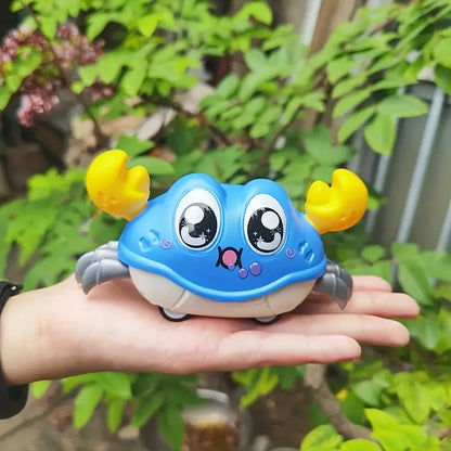 Reversible Crab Toy – Moving Educational Kids Toy