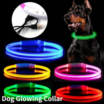LED Fiber Optic Dog Collar – Rechargeable Glowing Safety Collar
